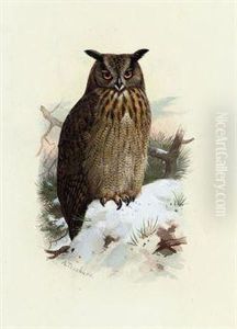 Eagle-owl by Archibald Thorburn