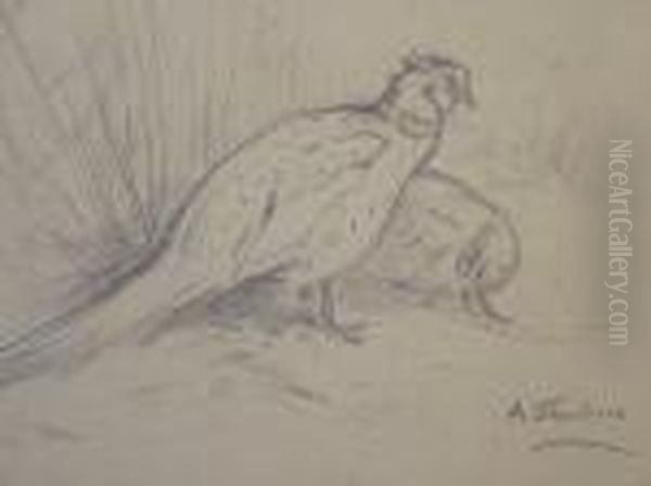 Two Pheasants - view 1