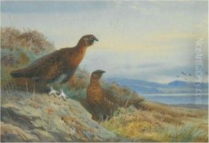 Brace Of Grouse by Archibald Thorburn
