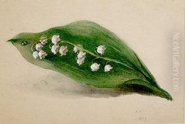 Botanical Study - view 1