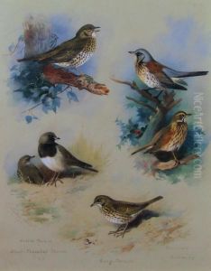 Plate by Archibald Thorburn