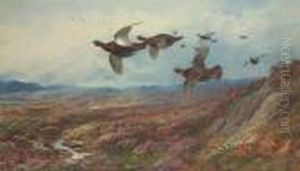 Grouse In Flight by Archibald Thorburn