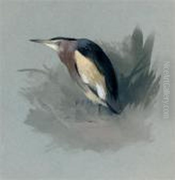 A Heron Waiting In The Marshes - view 1
