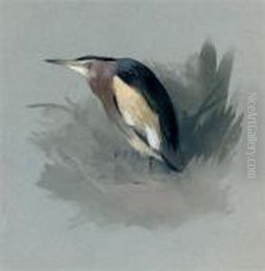 A Heron Waiting In The Marshes