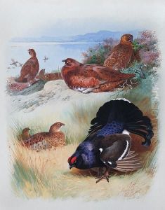 Red Grouse (male, Female) Black Grouse by Archibald Thorburn