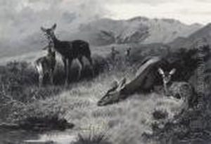 Hinds With Fawns At Rest