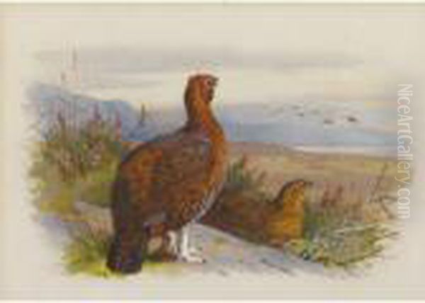 Pair Of Grouse - view 1
