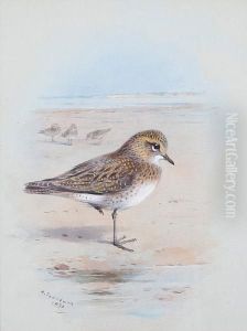 A Golden Plover On The Shore by Archibald Thorburn