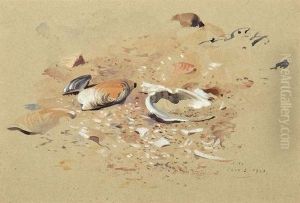 Sea Shells by Archibald Thorburn