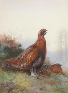 The Morning Call by Archibald Thorburn