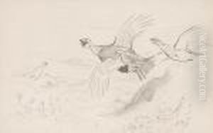 Each Signed With Initials 'a.t.' (lower Right), Pencil by Archibald Thorburn