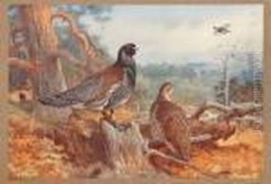 Game Birds And Wild-fowl Of Great Britain And Ireland by Archibald Thorburn