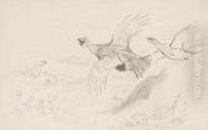 Studies Of Grouse by Archibald Thorburn