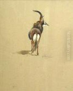 A Study Of A Kudu by Archibald Thorburn