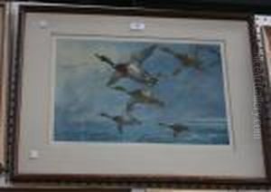 Mallards In Flight by Archibald Thorburn