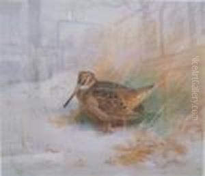 Pheasants In Snowy Landscape by Archibald Thorburn