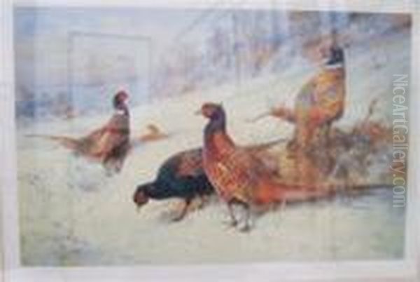 Pheasants In Snowy Landscape - view 1