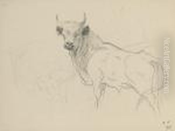 Study Of A Standing Cadzow Bull - view 1