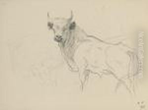 Study Of A Standing Cadzow Bull by Archibald Thorburn