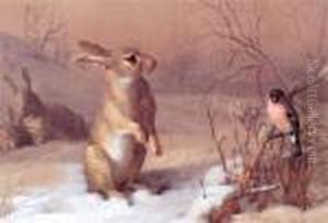 Hare And Chaffinch by Archibald Thorburn