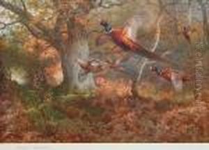 Pheasants In Flight by Archibald Thorburn