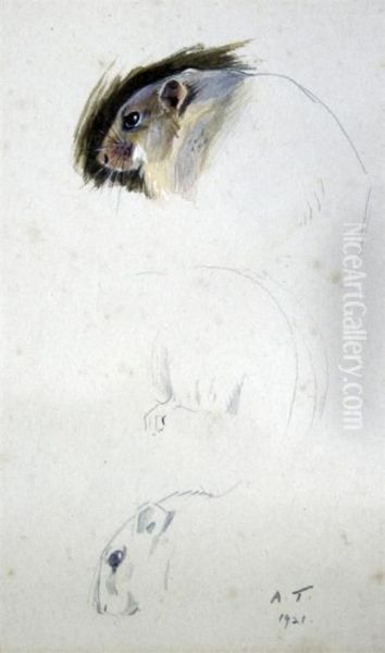 Two Dormice - view 1