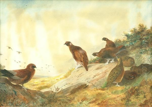 Grouse - view 1