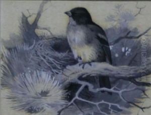Brambling, Sitting On Branch Of Pine Tree by Archibald Thorburn