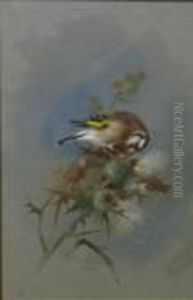 Study Of A Goldfinch Upon A Thistle by Archibald Thorburn
