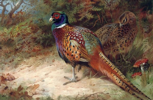 Cock And Hen Pheasant In The Undergrowth - view 1