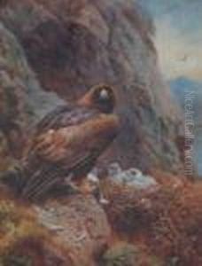 Grouse Withdeer In The Distance by Archibald Thorburn