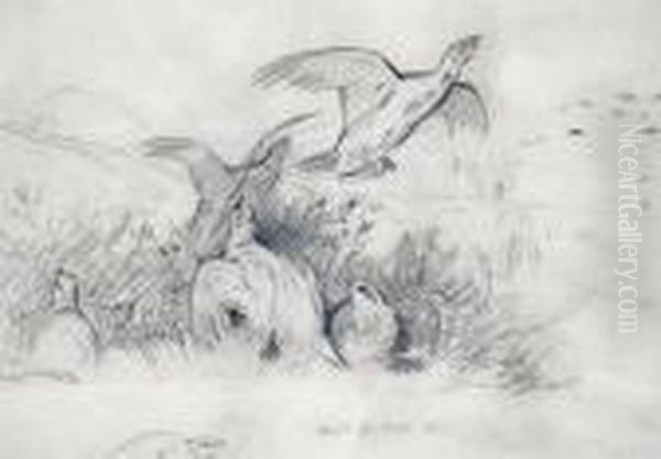 A Sketch Of Grouse - view 1