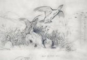 A Sketch Of Grouse by Archibald Thorburn