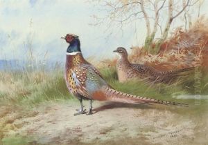 A Cock And Hen Pheasant Emerging From Bracken by Archibald Thorburn