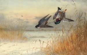 Killed As He Reaches Cover