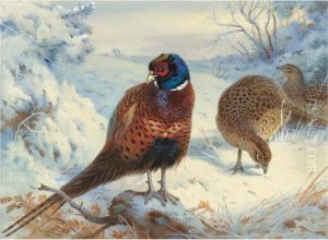 A Cock Pheasant And Hen Pheasant In Winter