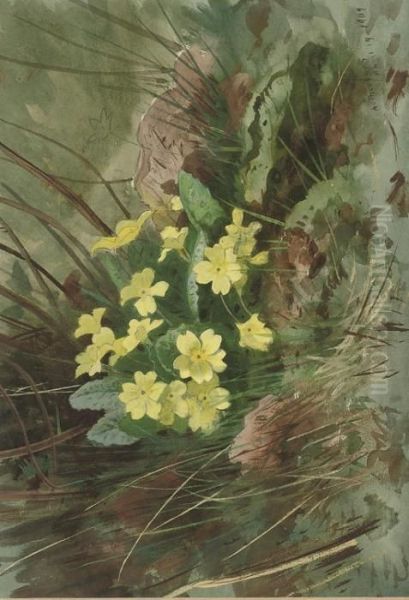 Primroses - view 1