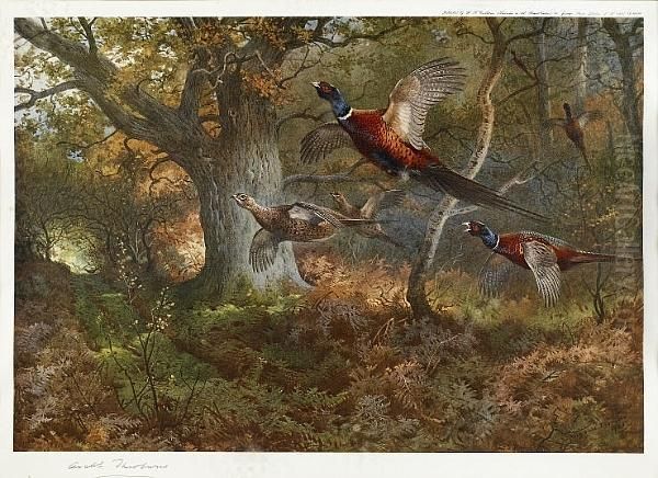 Signed Proofs, Pheasants And Partridges (2) - view 1