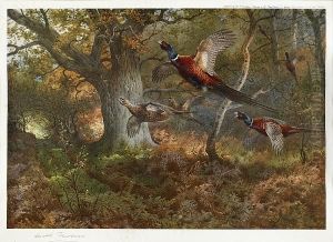 Signed Proofs, Pheasants And Partridges (2)