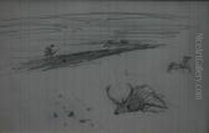 Six Studies Of Birds