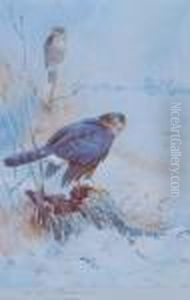 Birds Of Prey In Winter by Archibald Thorburn