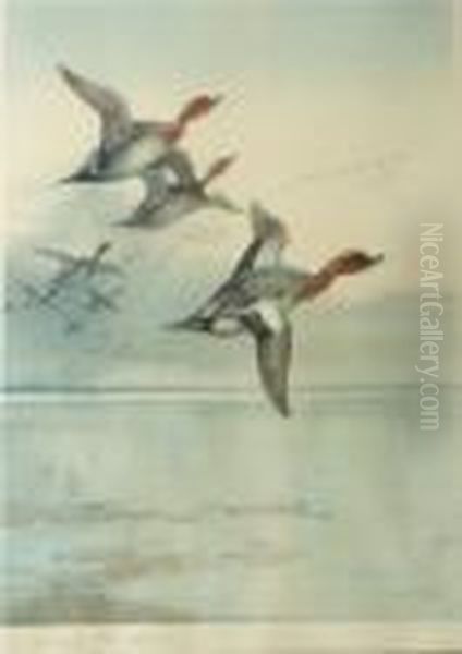 Ducks Flighting - view 1