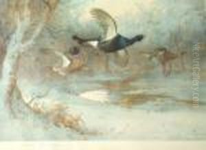 Blackcock And Other Birds by Archibald Thorburn