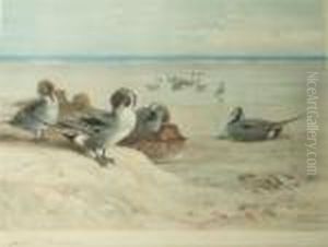 Ducks On The Foreshore by Archibald Thorburn