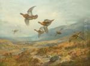 Grouse Flighting Over The Moor by Archibald Thorburn