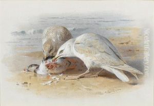 Gulls Feasting On A Puffin by Archibald Thorburn