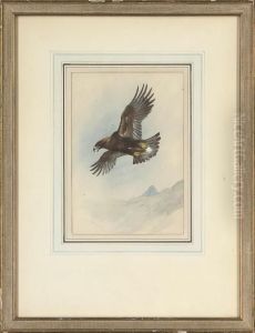Lord Of The Glen by Archibald Thorburn