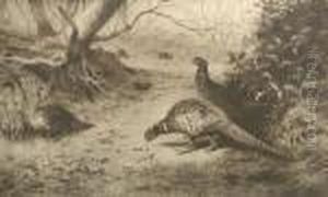 Pheasant