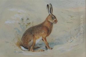 Hare In A Snowy Landscape
