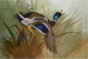 Winged by Archibald Thorburn